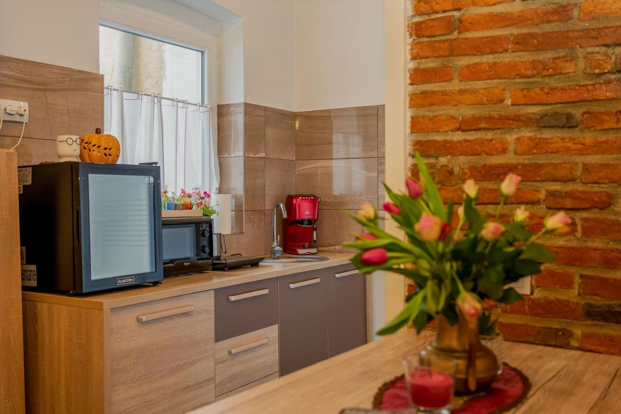 The Medieval Refuge Apartment Sighisoara